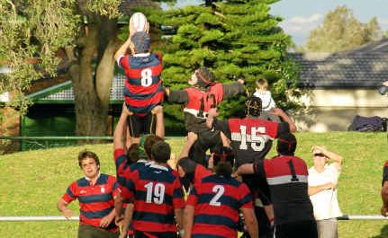 Player registrations in MNC Junior Rugby Union rose 31 per cent. Player registrations in MNC Junior Rugby Union rose 31 per cent.